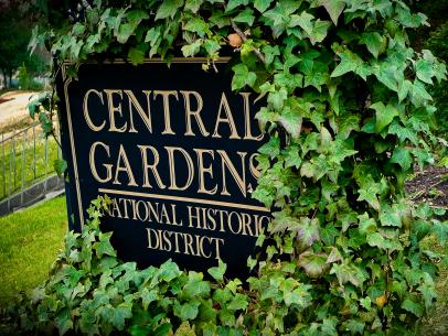 Central Gardens: The Tour and the Lessons