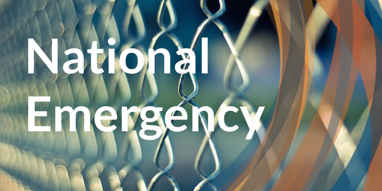 The National Emergency IS The President