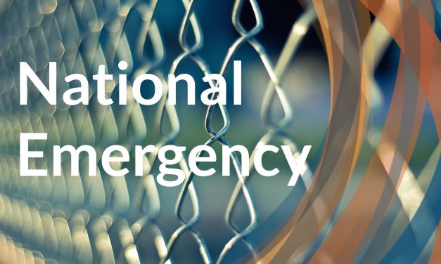The National Emergency IS The President