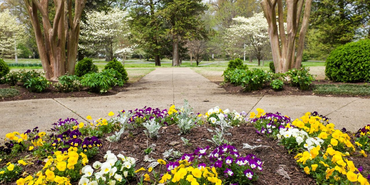 Memphis: Grit and Grind No More, Now Green and Grand