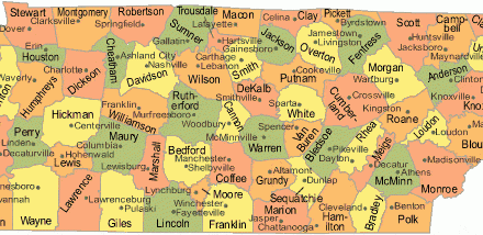 Shelby County Compared to Other Tennessee Counties