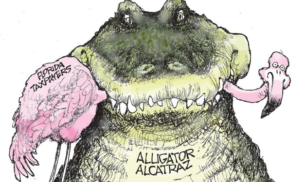Alligator Alcatraz, A Cartoon by Award-Winning Bill Day