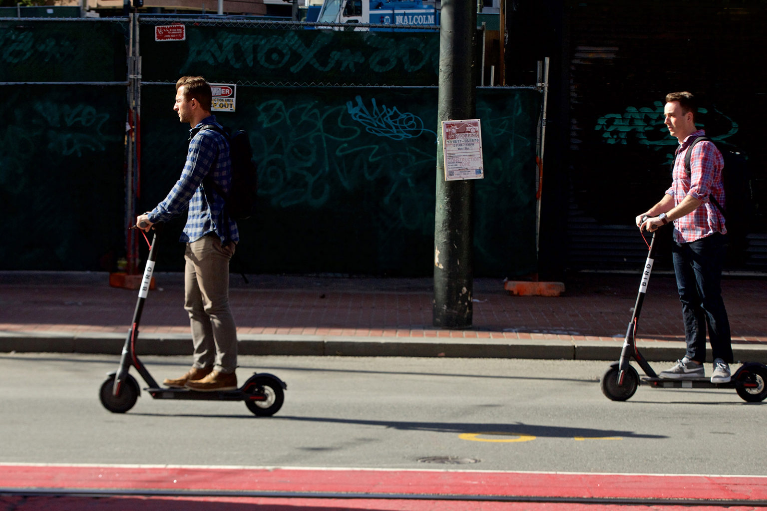 the bird scooter