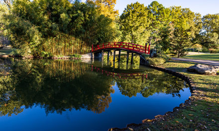 Botanic Garden Celebrates 70 Years