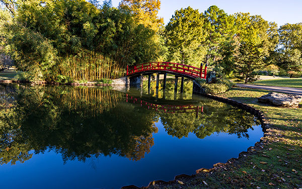 Botanic Garden Celebrates 70 Years