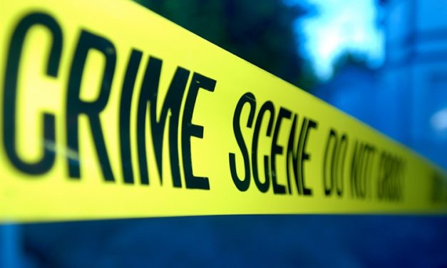 John Branston: What To Make of Falling Crime Rate