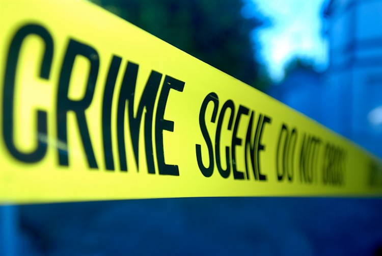 John Branston: What To Make of Falling Crime Rate