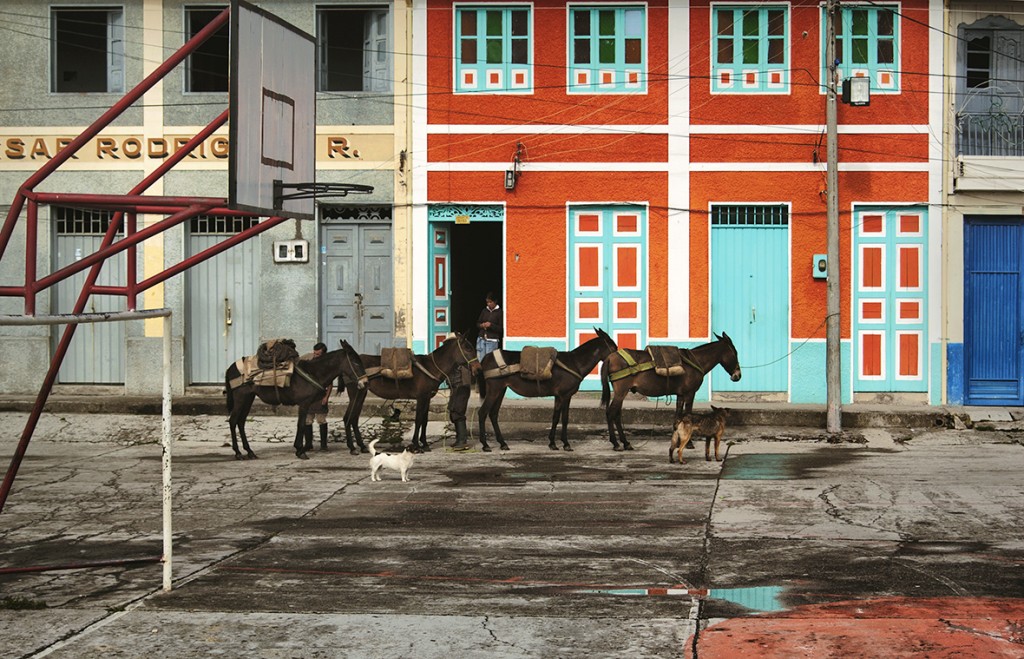 Dogs keep a mule train in line as a farmer shops at the general store in Murillo, Colombia.