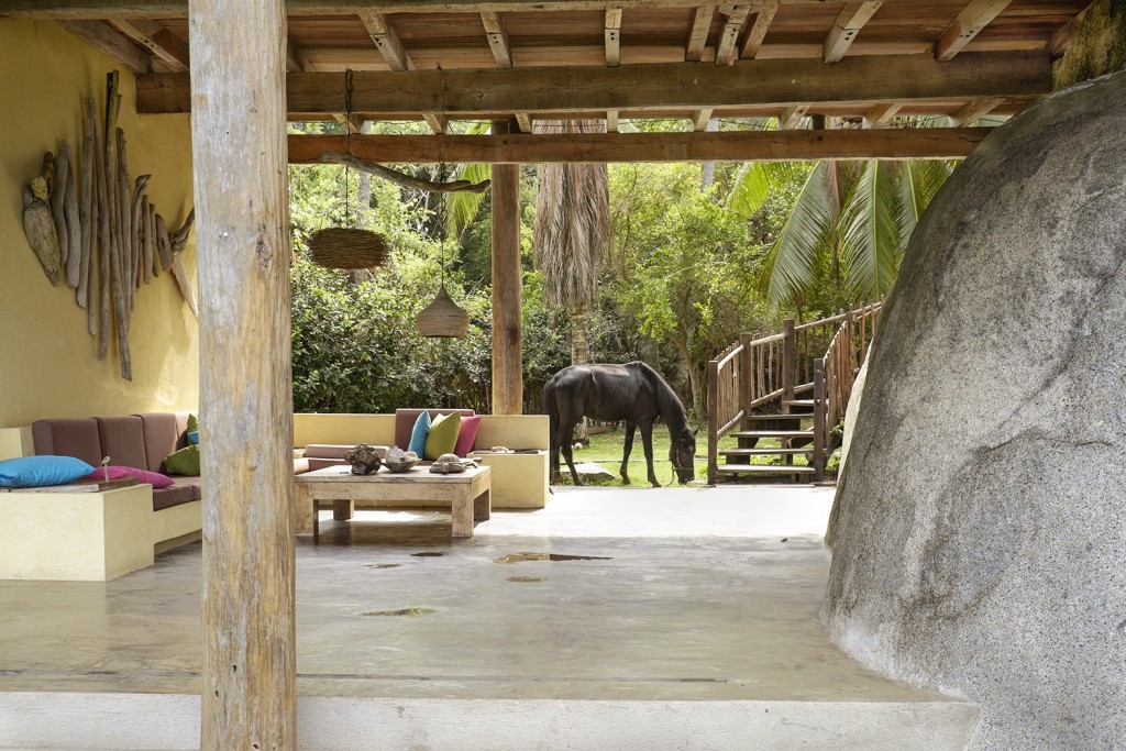 A horse grazed on the lawn of a hostel inside Tayrona National Natural Park in Santa Marta, Colombia.