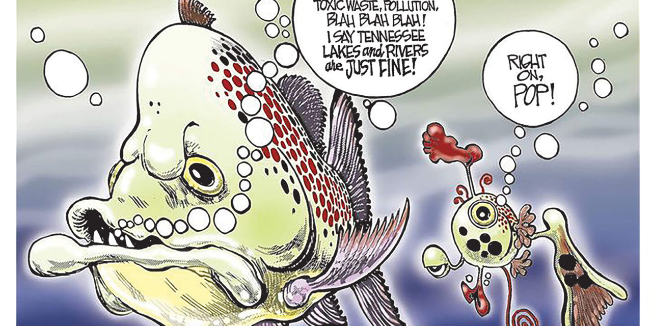 Clean Water?, A Cartoon By Award-Winning Bill Day