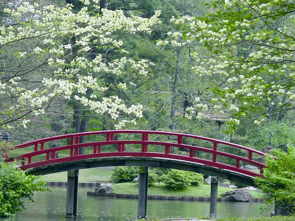garden japanese bridge