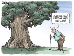 Beautiful Tree, A Cartoon by Award-Winning Bill Day