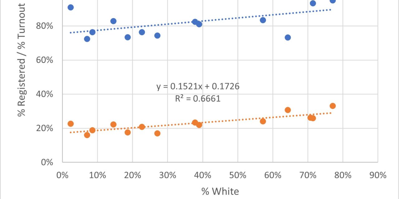 Demographics of Voter Turnout in the August 2022 Election