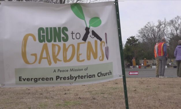 Guns to Gardens Safe Surrender Event February 28