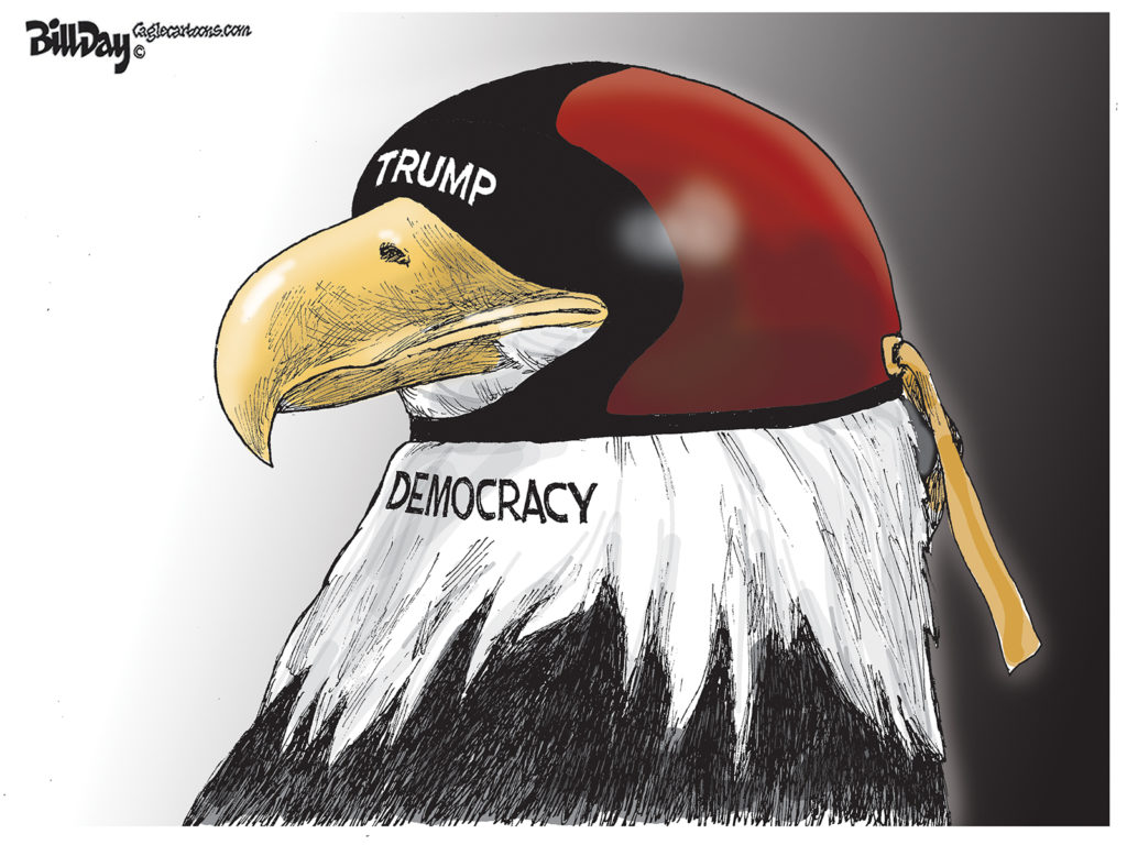 Democracy Hood, A Cartoon by Award-winning Bill Day