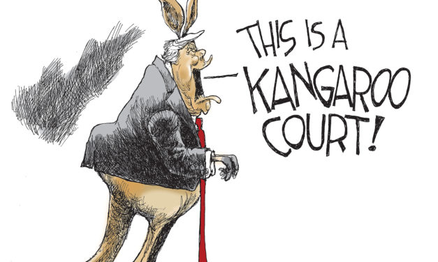 Bill Day Cartoon of the Week: Kangaroo Court