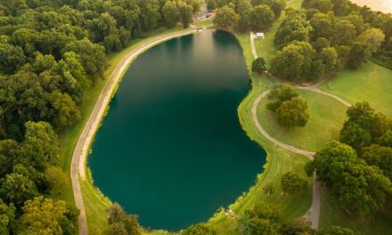 Finding The Park That Martin Luther King Riverside Park Wants To Be