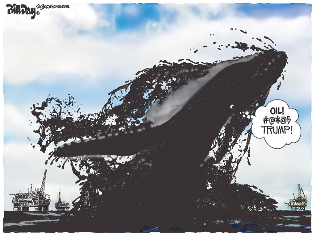 Trump Drilling, A Cartoon by Award-Winning Bill Day