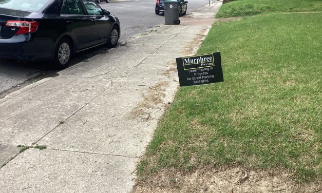 McGowen, MLGW and Big and Little Things