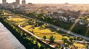A Large Mature Tree On the River Bluff Vanishes