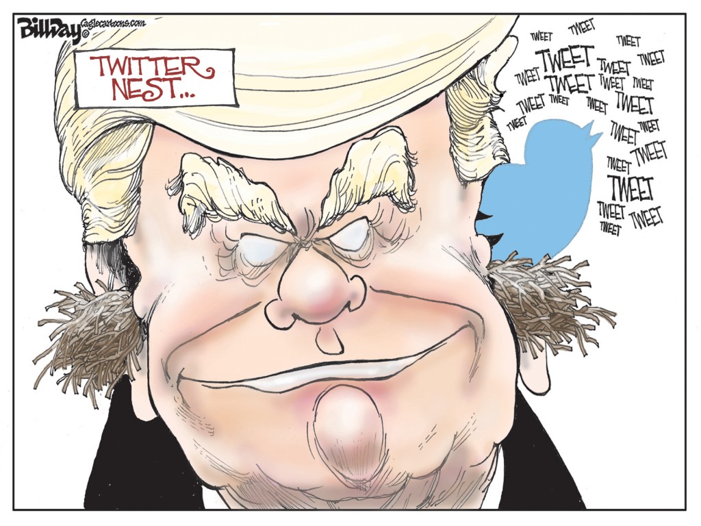 twitter nest